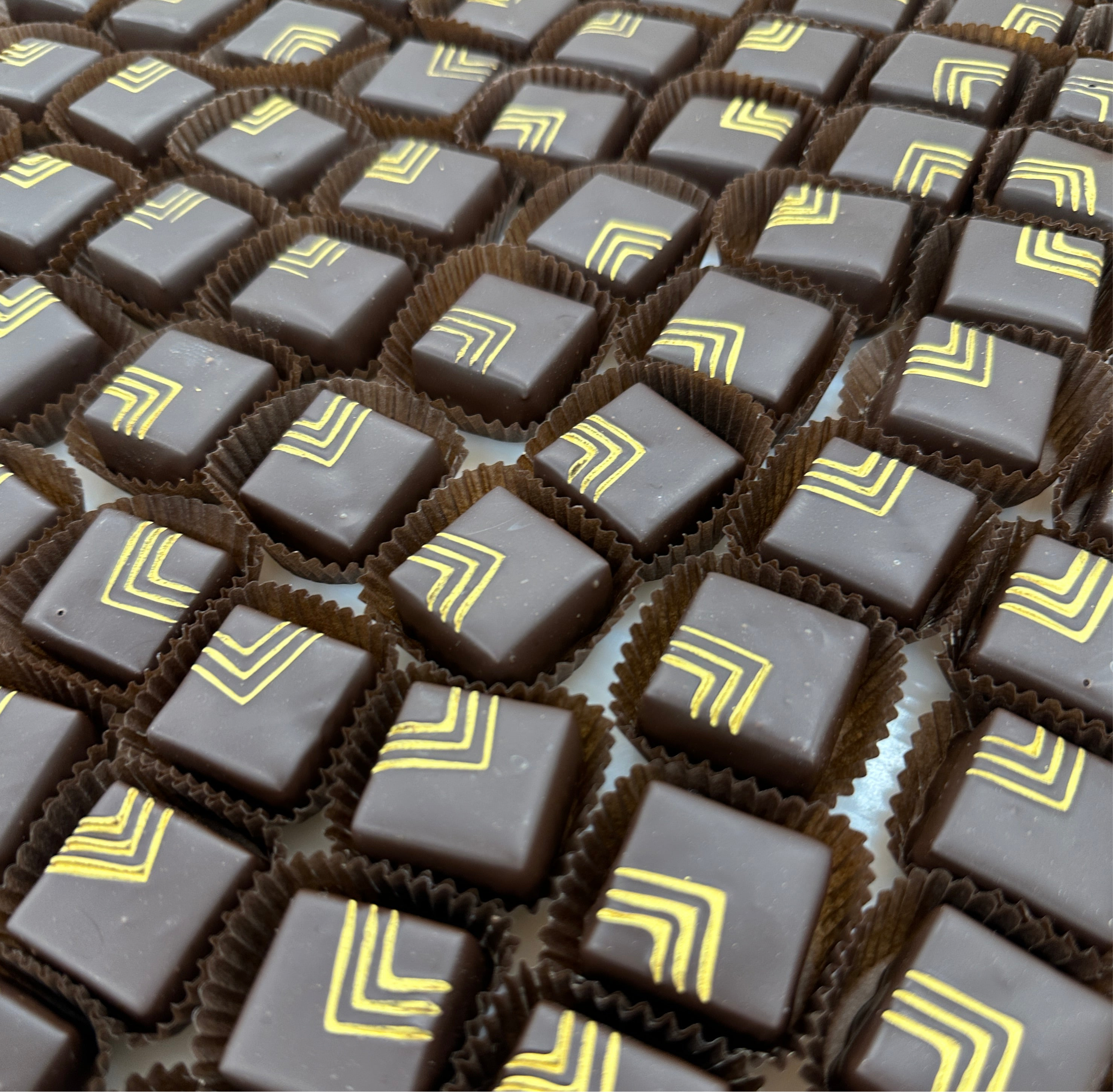 Cocoa Wilds